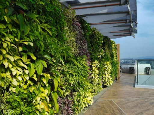 Green Wall Design & Build Johor Bahru (JB) | Landscaper Johor Bahru (JB) | Landscape Design Johor Bahru (JB)