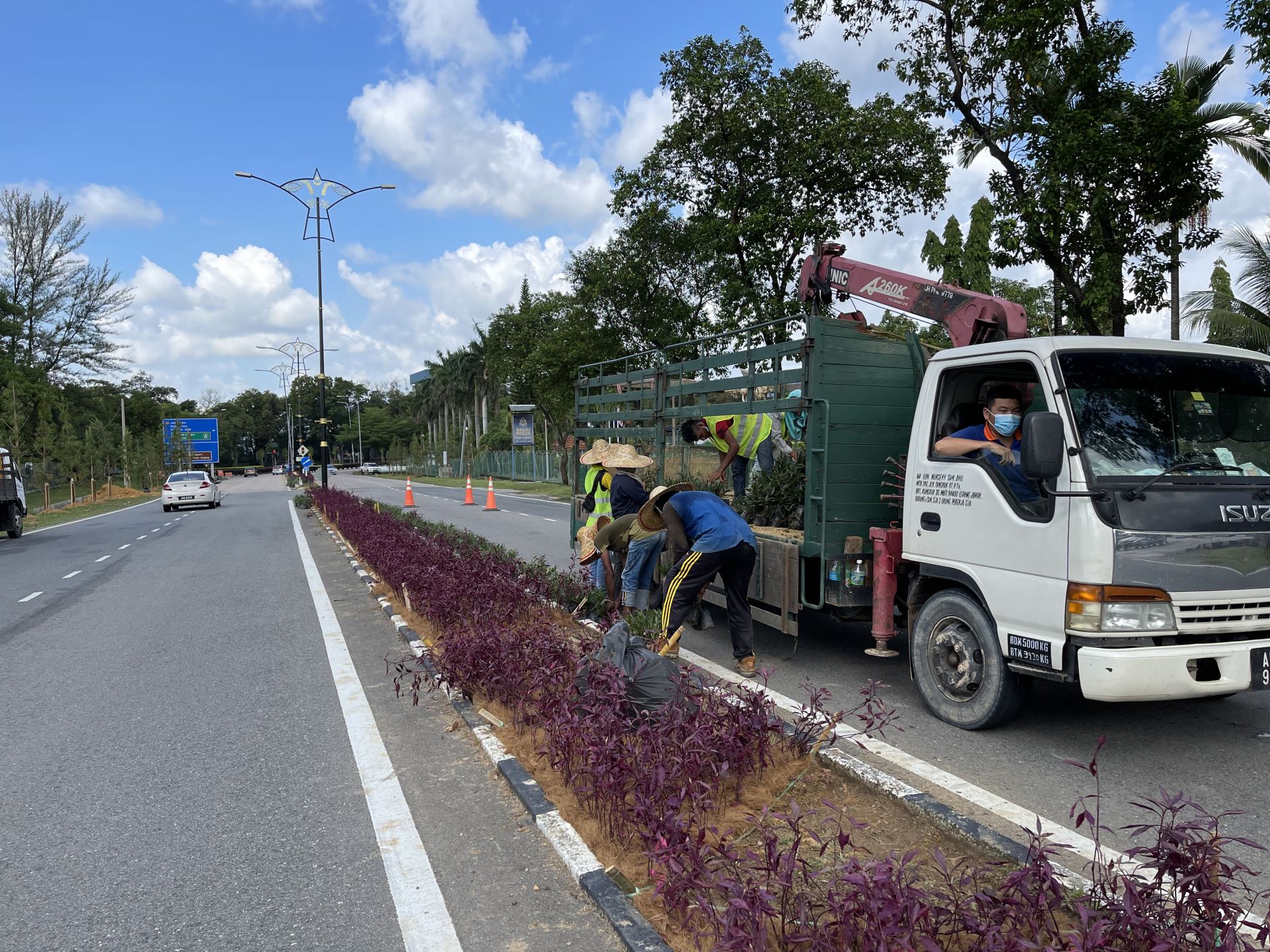 Planting Johor Bahru (JB) | Landscaper Johor Bahru (JB) | Landscape Design Johor Bahru (JB)