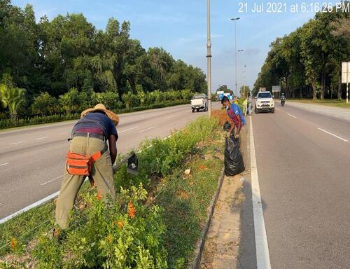 Planting