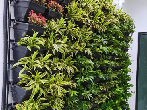 Green Wall Design & Build