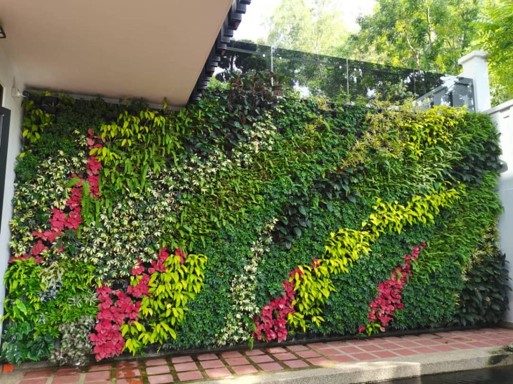 Green Wall Design & Build