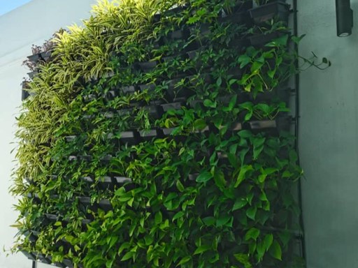 Green Wall Design & Build
