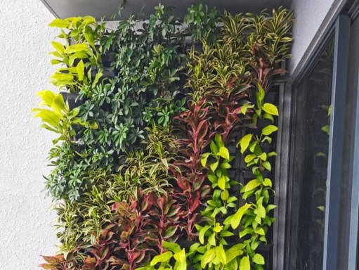 Green Wall Design & Build