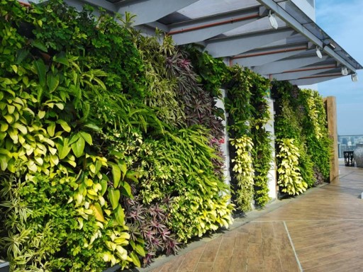 Green Wall Design & Build