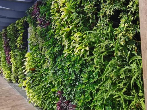 Green Wall Design & Build