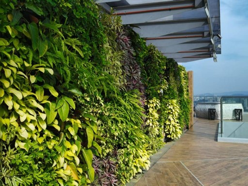 Green Wall Design & Build