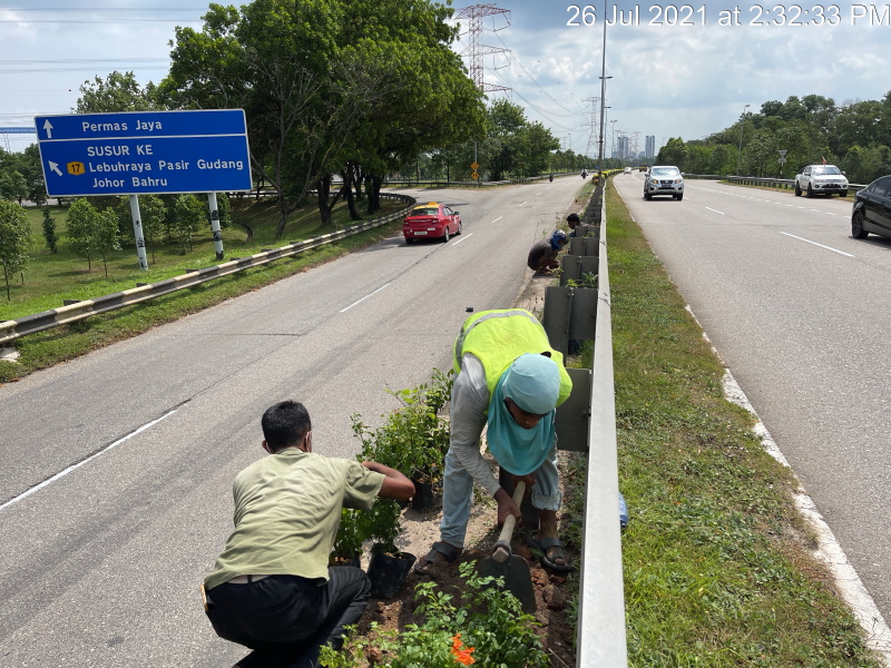 Planting