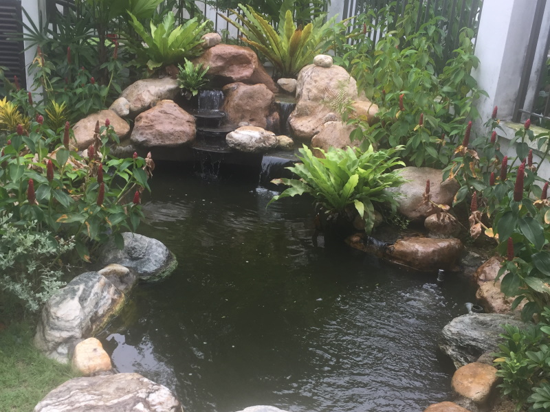 Landscape/Garden Design & Build