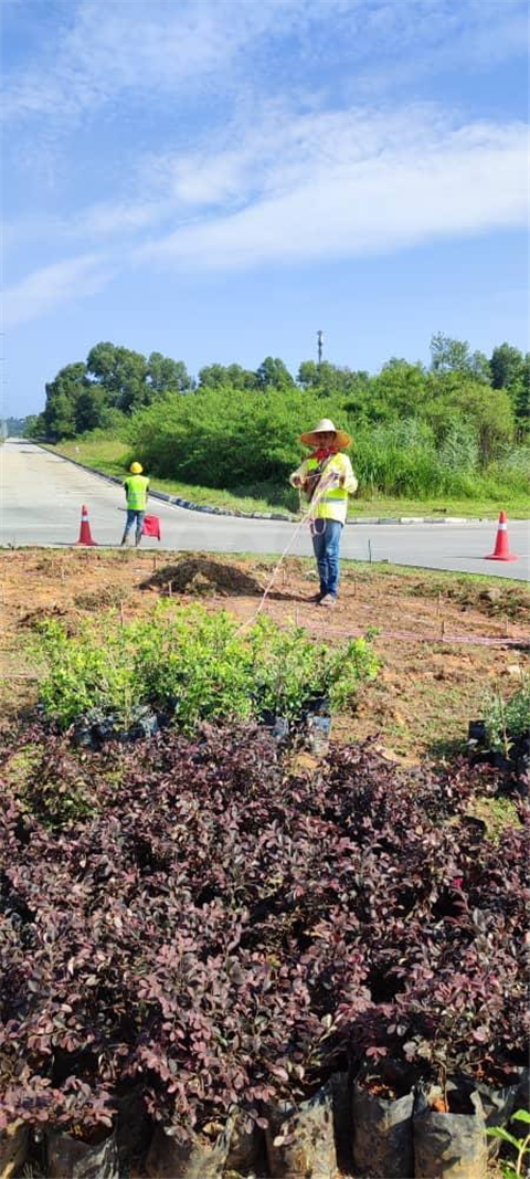 Pasir Gudang Highway