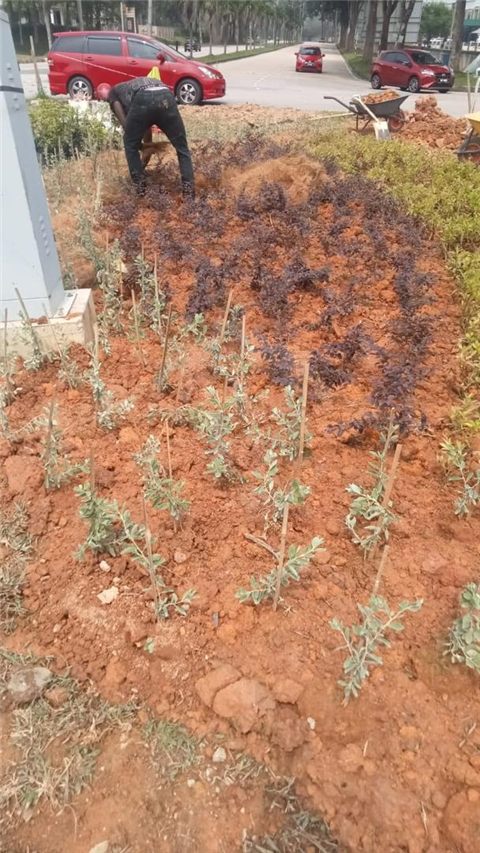 Pasir Gudang Highway