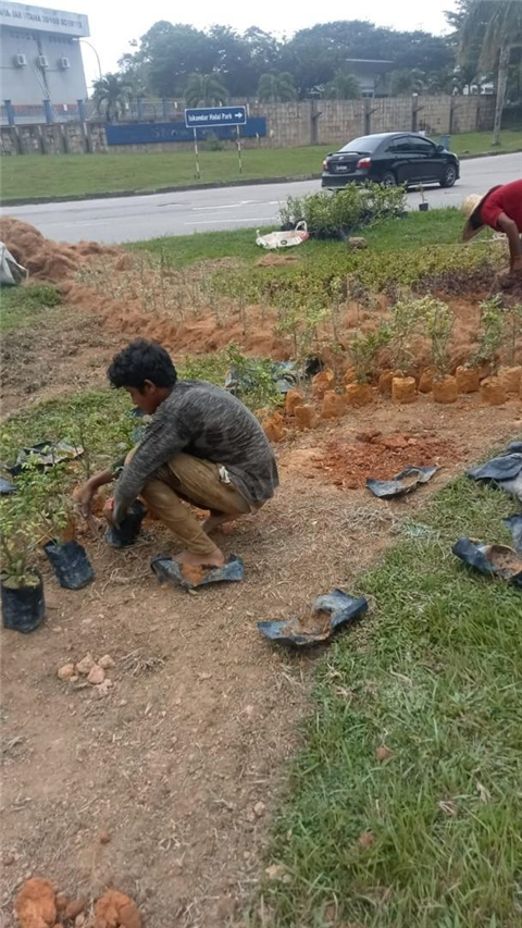 Pasir Gudang Highway