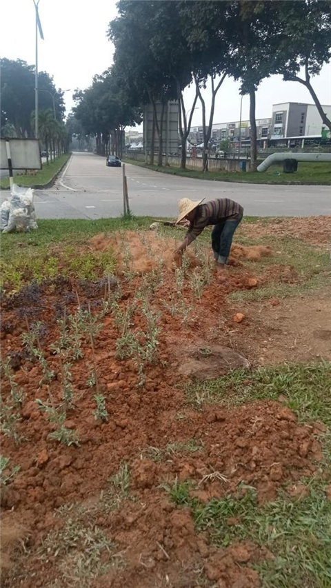 Pasir Gudang Highway