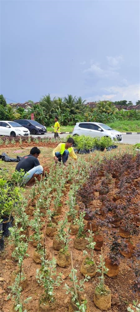 Pasir Gudang Highway