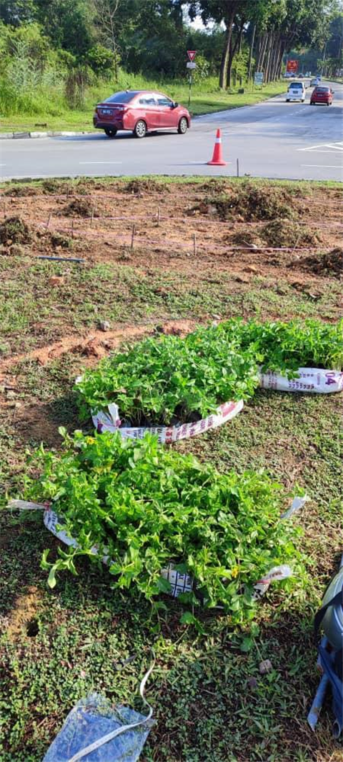 Pasir Gudang Highway