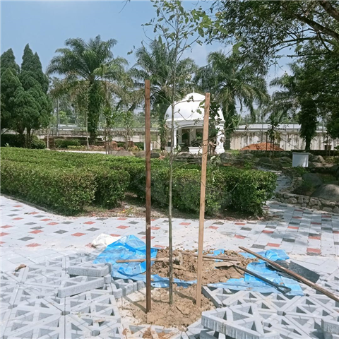 Taman Merdeka Johor Bahru