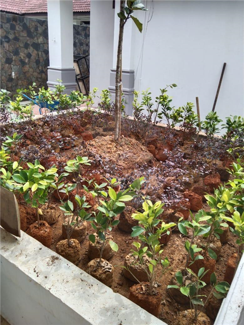 Taman Merdeka Johor Bahru