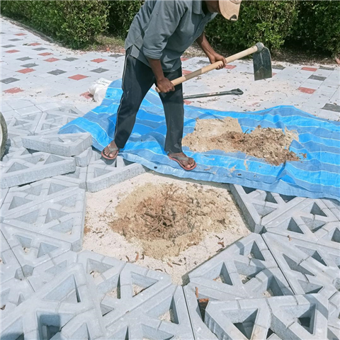 Taman Merdeka Johor Bahru