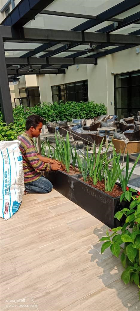 Hyatt Hotel Paradigm Mall