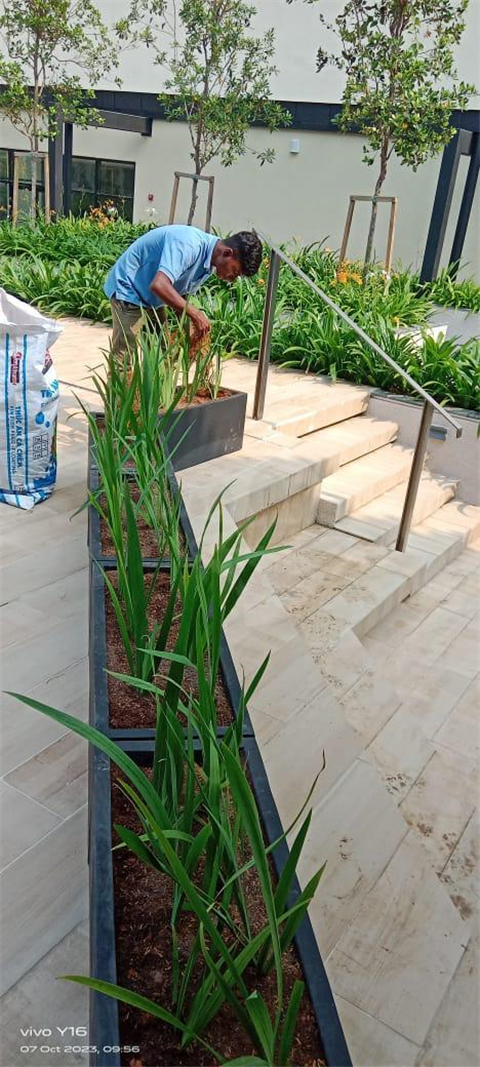 Hyatt Hotel Paradigm Mall