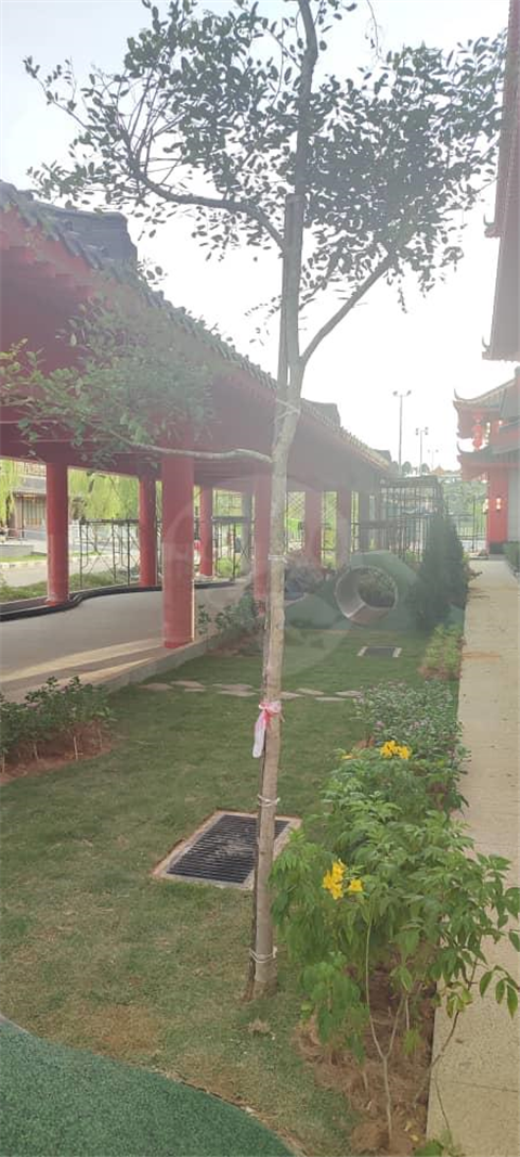 Fairy Park Setia Alam