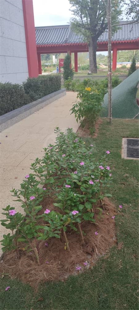 Fairy Park Setia Alam